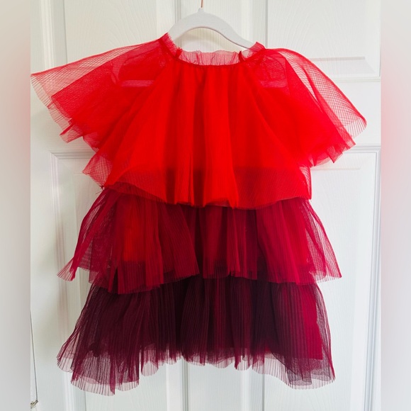 Red and Burgundy Layered Tulle Dress - Picture 2 of 2